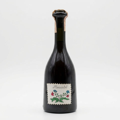 Muscatel Castiglione Tinella Icardi 1990 – butelka